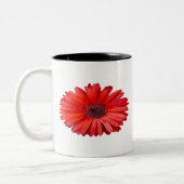 Oranje Daisy Mok (Links)
