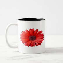 Oranje Daisy Mok
