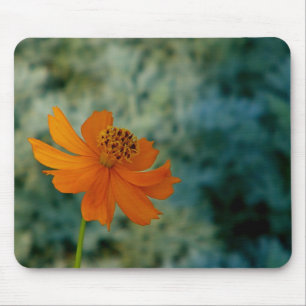 Oranje Daisy Muismat