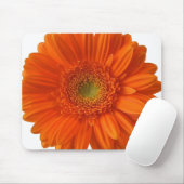 Oranje Daisy Muismat (Met muis)