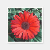 Oranje Daisy napkins Servet (Voorkant)