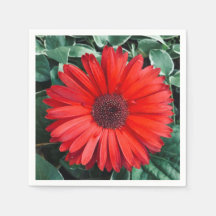 Oranje Daisy napkins