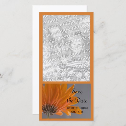 Oranje Daisy op Grijze bruiloft Bewaar de datum Save The Date (Voorkant / Achterkant)
