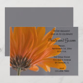 Oranje Daisy over de Grijze Partij Kaart (Voorkant / Achterkant)