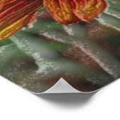 Oranje Daisy Pencil Flower Art Poster (Hoek)