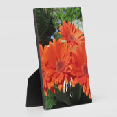 Oranje Daisy Photo Monogram Fotoplaat (Zijkant)