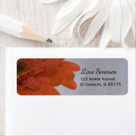Oranje Daisy retouradres Etiket