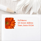 Oranje Daisy Retouradres Mailing Label (Insitu)