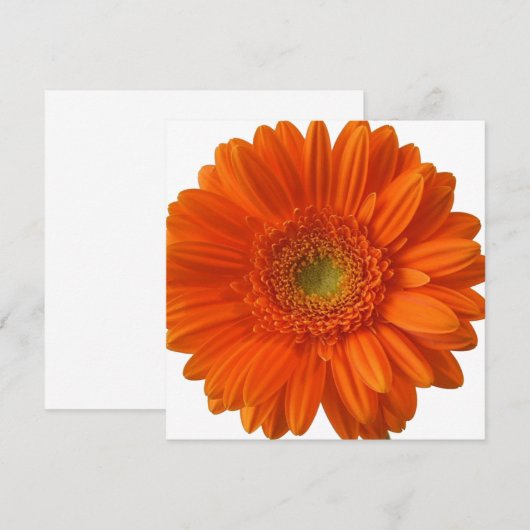 Oranje Daisy-uitnodigingen Kaart (Voorkant / Achterkant)
