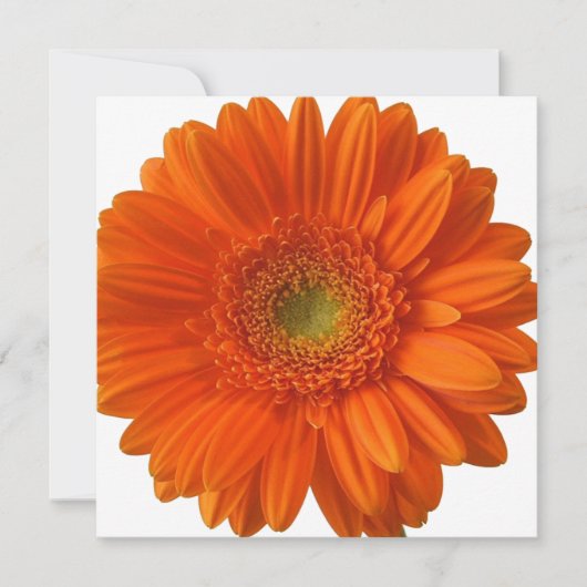 Oranje Daisy-uitnodigingen Kaart (Voorkant)