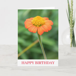 Oranje daisy up close verjaardagskaart kaart