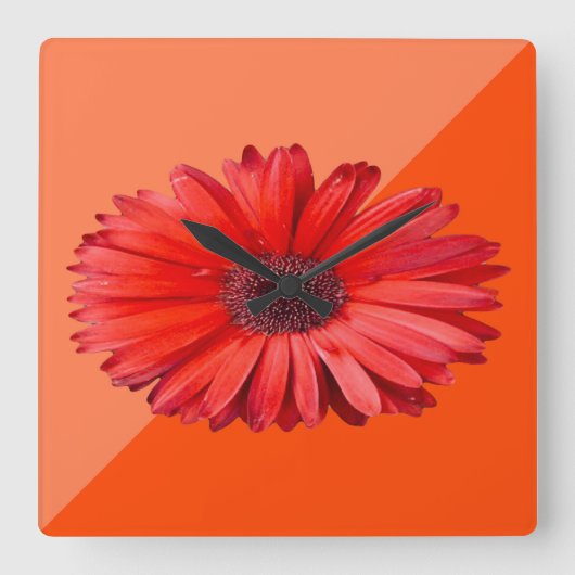 Oranje Daisy Wall klok (Voorkant)