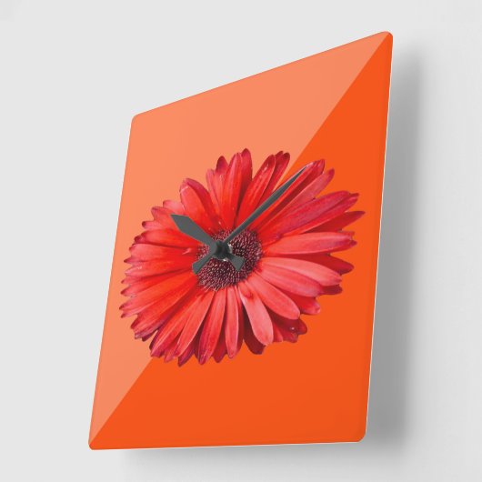 Oranje Daisy Wall klok (Hoek)