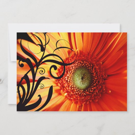 Oranje Daisy Wedding Uitnodiging (Achterkant)