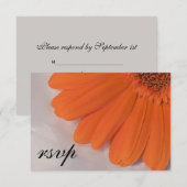 Oranje Daisy White Satin Weddenschap RSVP Reactie Kaartje (Voorkant / Achterkant)