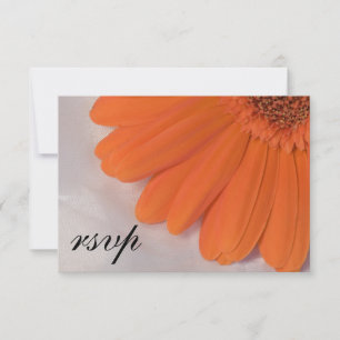 Oranje Daisy White Satin Weddenschap RSVP Reactie Kaartje