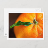 Oranje dat je blij bent? briefkaart (Voorkant / Achterkant)