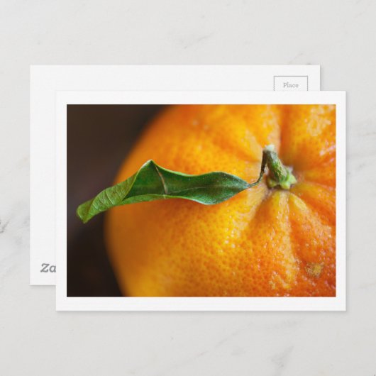 Oranje dat je blij bent? briefkaart (Voorkant / Achterkant)