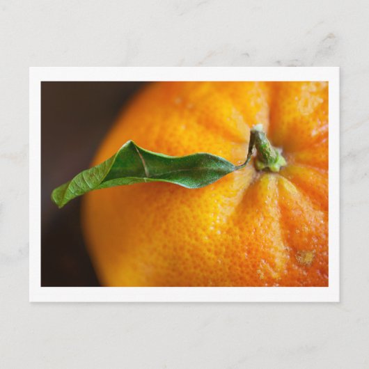 Oranje dat je blij bent? briefkaart (Voorkant)