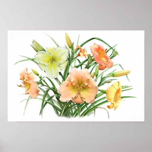 Oranje Daylilies Originele Botanische Kunstafdrukk Poster (Voorkant)