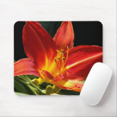 Oranje Daylily Bloom Floral Muismat (Met muis)
