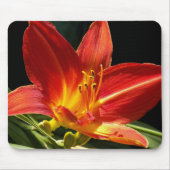Oranje Daylily Bloom Floral Muismat (Voorkant)