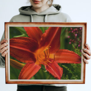 Oranje Daylily Bloom Floral Perfect Poster