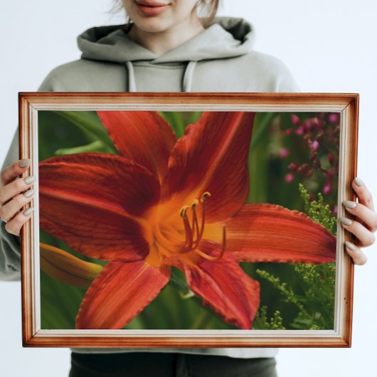 Oranje Daylily Bloom Floral Perfect Poster