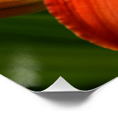 Oranje Daylily Bloom Floral Perfect Poster (Hoek)