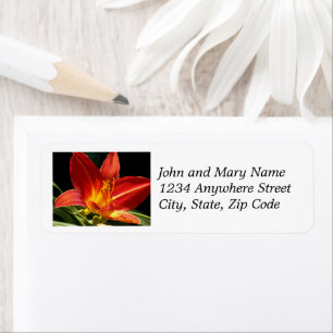 Oranje Daylily Bloom Floral Return Address Etiket
