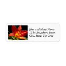 Oranje Daylily Bloom Floral Return Address