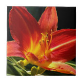 Oranje Daylily Bloom Floral Tegeltje (Voorkant)