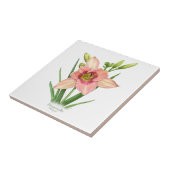 Oranje Daylily Botanische Kunststijl Tegeltje (Zijkant)