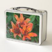 Oranje Daylily Canadese Bloemfotografie (Achterkant)