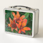 Oranje Daylily Canadese Bloemfotografie (Voorkant)