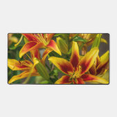 Oranje Daylily Canadese Bloemfotografie Bureaumat (Voorkant)