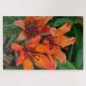 Oranje Daylily Canadese Bloemfotografie Legpuzzel (Horizontaal)