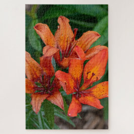 Oranje Daylily Canadese Bloemfotografie Legpuzzel