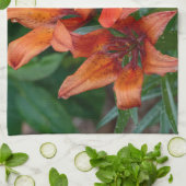 Oranje Daylily Canadese Bloemfotografie Theedoek (Gevouwen)