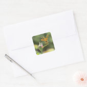 Oranje Dragonfly op Roze Rosebud Vierkante Sticker (Envelop)