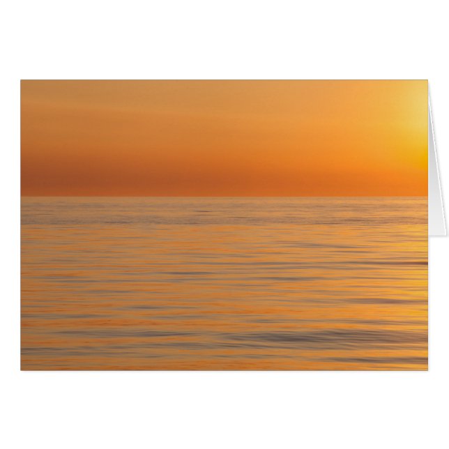 Oranje droomstrand (Voorkant Horizontaal)