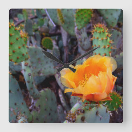 Oranje druppeltjes Prickly Pear Opuntia Cactus Vierkante Klok