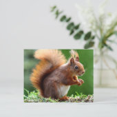 Oranje eekhoorn briefkaart (Staand voorkant)