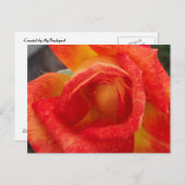 Oranje en Geel Briefkaart (Voorkant / Achterkant)