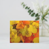 Oranje en Geel Johnny Jump Up Briefkaart (Staand voorkant)