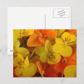 Oranje en Geel Johnny Jump Up Briefkaart (Voorkant / Achterkant)