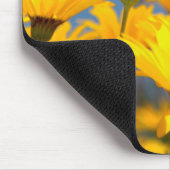 Oranje en geel Namaqualand Daisies Muismat (Hoek)