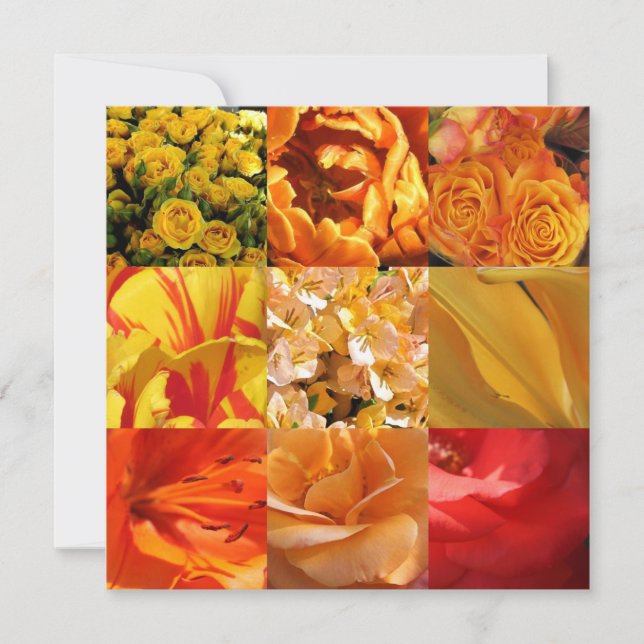 Oranje en gele bloemen (Voorkant)