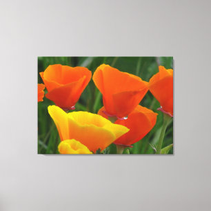 Oranje en gele bloemen canvas afdruk