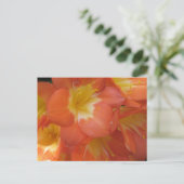 Oranje en gele bloemen in Longwood Gardens, PA Briefkaart (Staand voorkant)